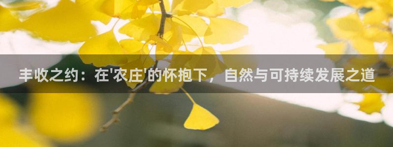 pg电子寻宝黄金城攻略