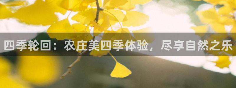 pg电子有哪些平台