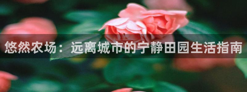 pg电子娱乐官方版