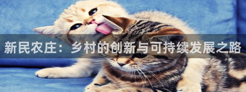 pg电子有规律吗