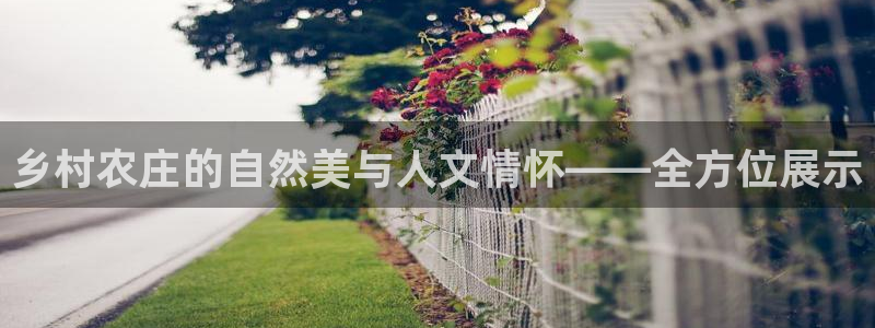 PG电子上岸技巧
