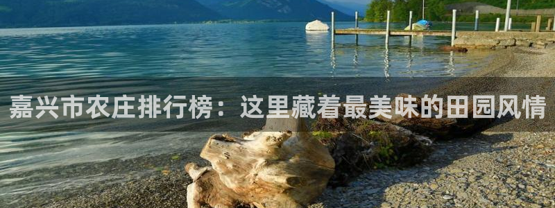 免费pg电子游戏苹果版