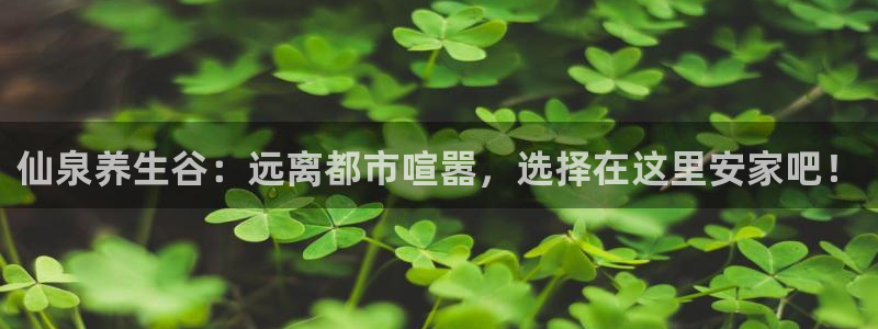 pg电子寻宝黄金城攻略