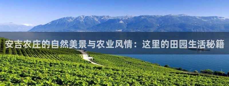 电子pg麻将2视频