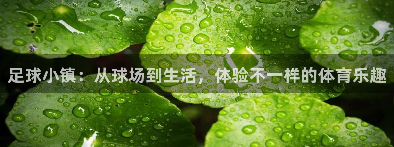 pg电子游戏控制输赢