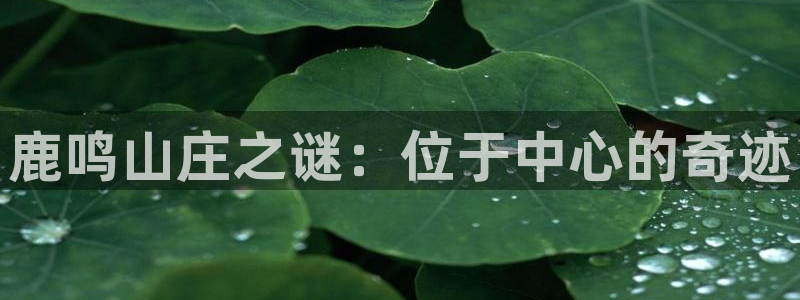 pg电子最大奖