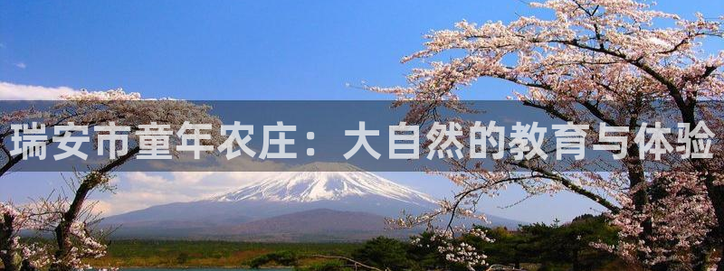 pg电子游戏视频哪里看