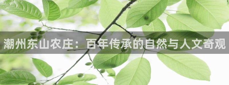 pg电子大奖视频网址