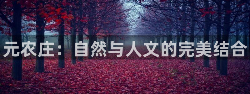 pg电子三只猴子怎么玩
