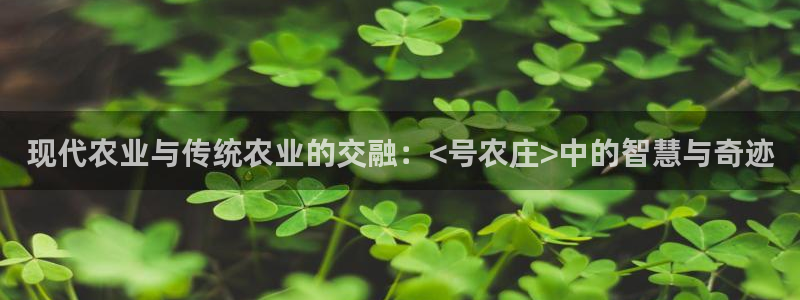 pg电子超市大比拼