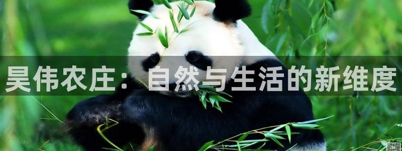 pg电子游戏网站试玩