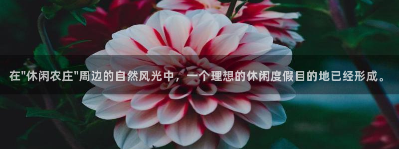 pg电子官方地址