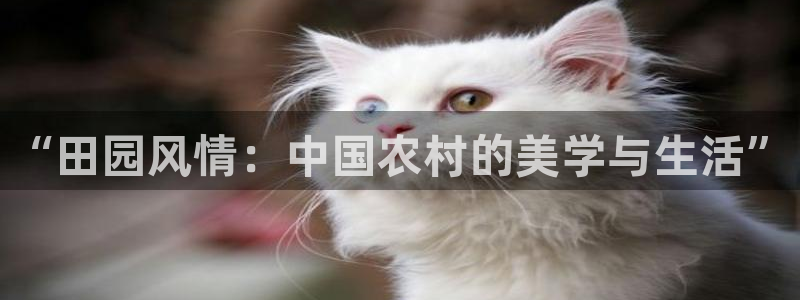 pg船长电子中大奖视频