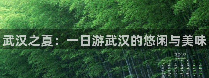 pg电子免费体验网址