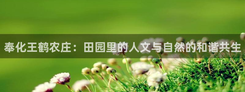 pg电子爆分阶段