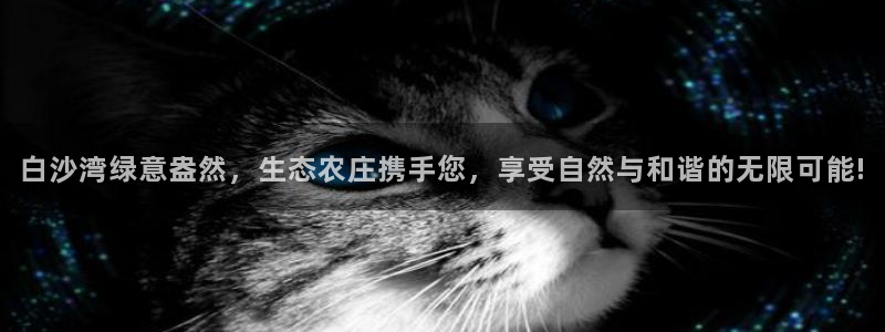 pg电子冰雪大冲关视频