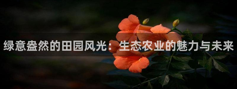 pg电子app全能版