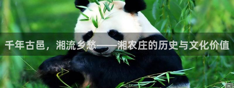 双喜临门pg电子