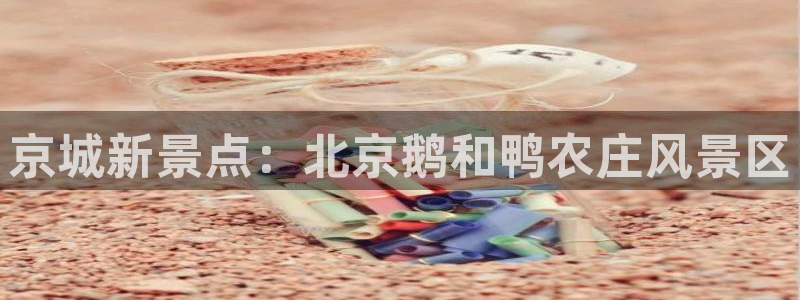 pg电子多家