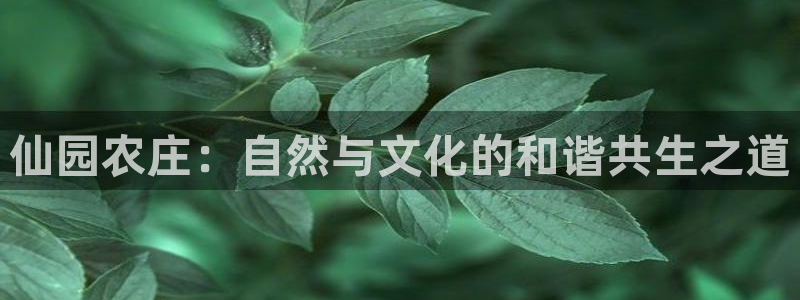 pg电子双喜临门大奖