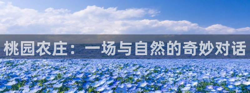 pg电子爆奖