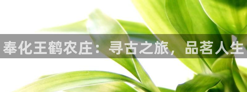 pg电子api接口