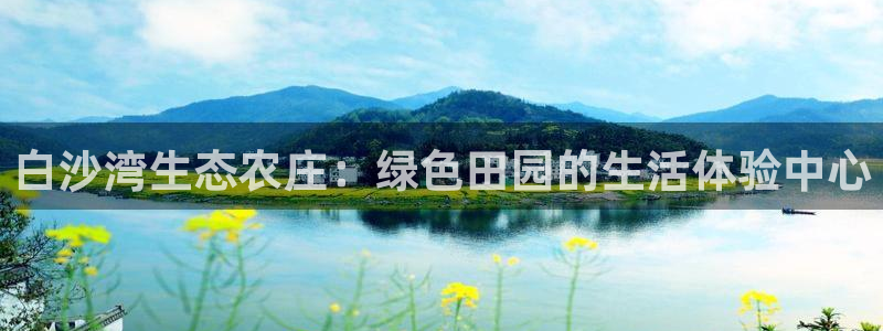 pg电子官方网站