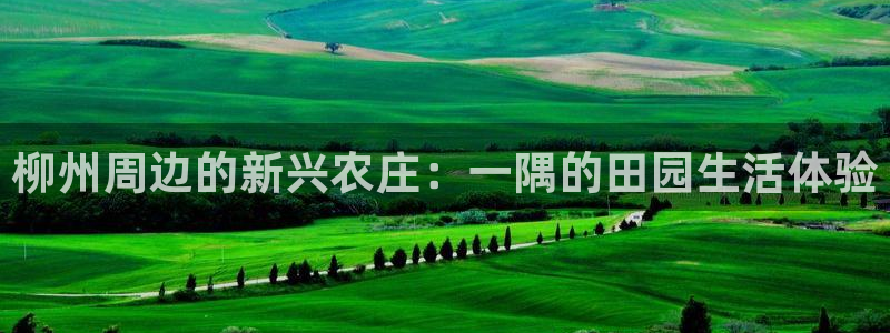 下载pg电子