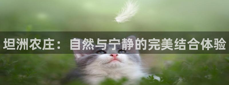pg电子爆分