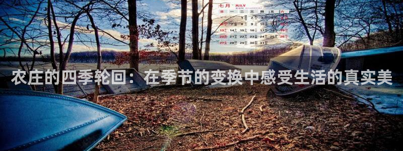 pg电子试玩在线