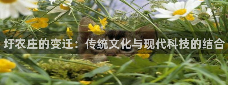 电子游戏PG爆分时间