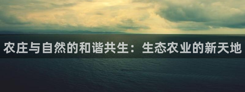 PG电子爆分高的游戏