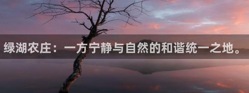 电子PG大奖视频