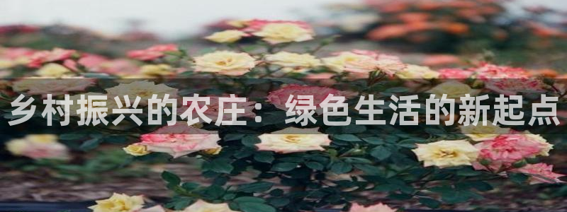 pg电子游戏交流群
