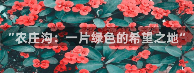 pg电子怎么爆分