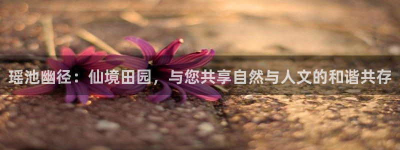 pg电子模拟器试玩在线