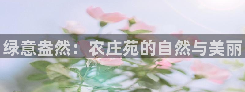 pg电子官方首页311