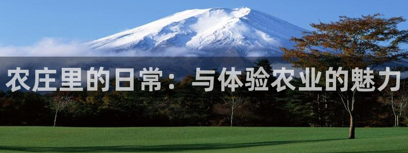 最新pg电子爆分视频