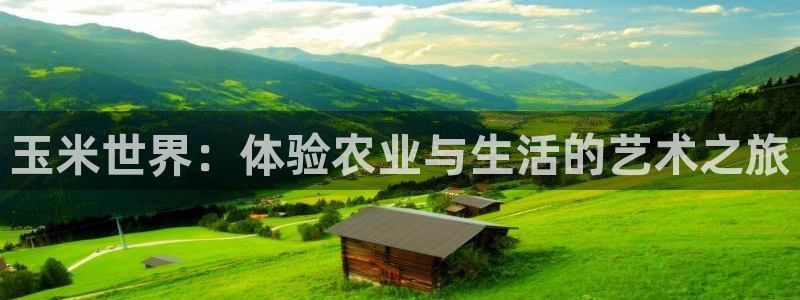 pg夜醉佳人电子游戏