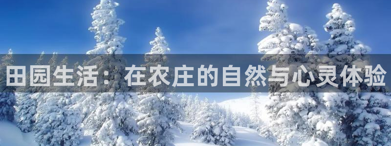 pg电子下载窗口