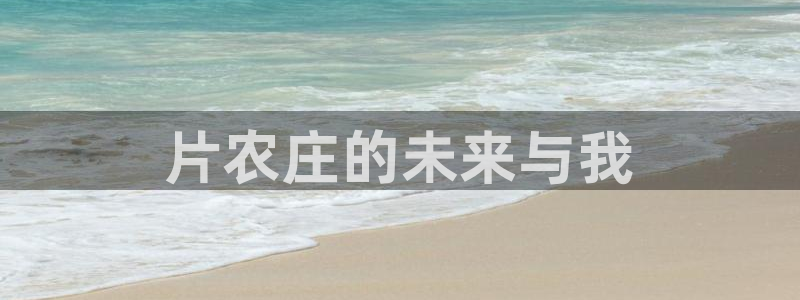 pg电子竞技游戏平台