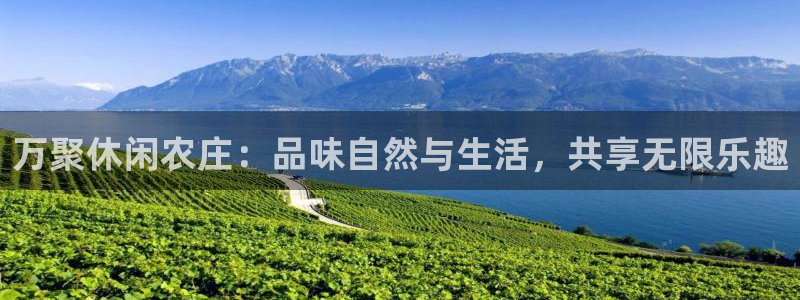 PG电子为什么这么坑