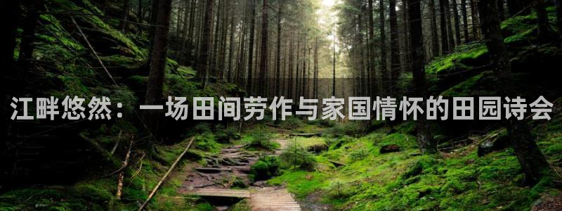 pg电子免费游戏视频