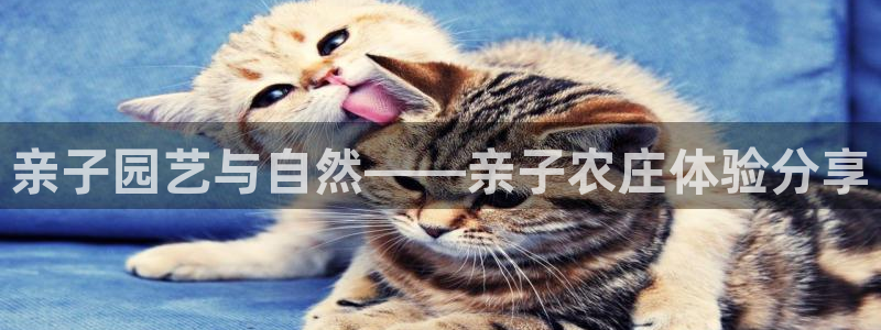 pg电子试玩模式网址