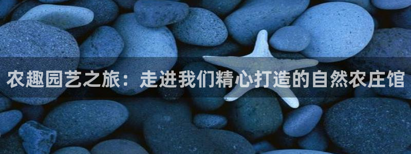 转出至PG电子什么意思