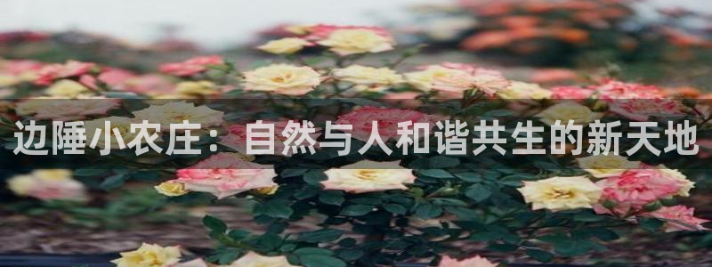 网络上的电子赌博PG