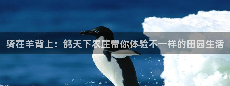 pg电子游戏试玩网