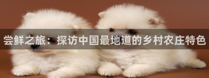 pg电子五个秋香视频