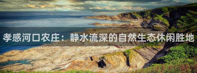 电子PG大奖视频