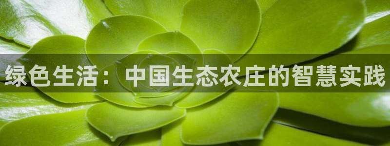 pg电子哪个游戏出分